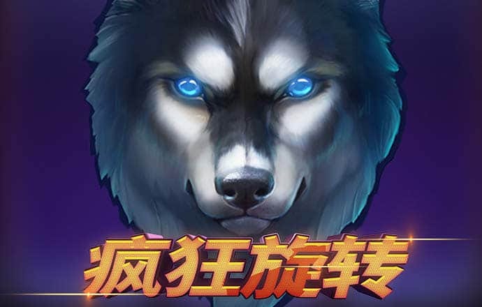 奧門新浦京